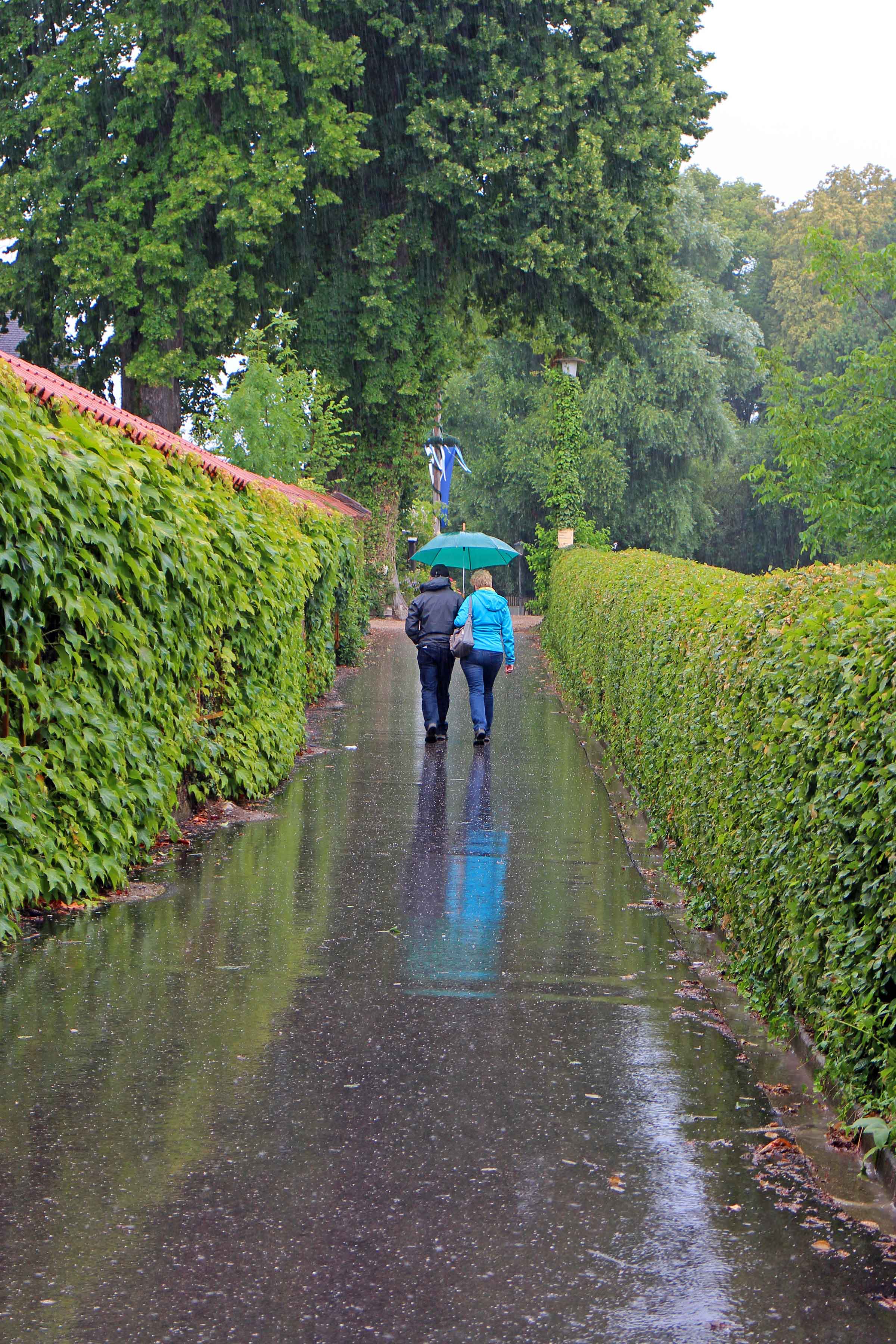 Rainy Walk