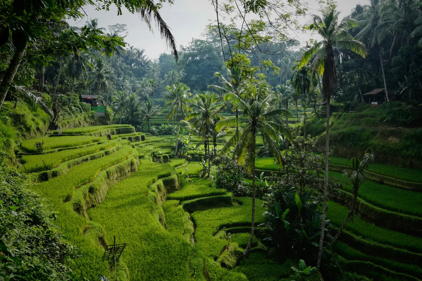 10 Days in Bali: An Itinerary for an Enriching Getaway