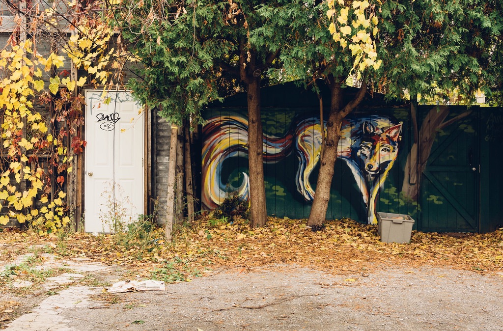 Wolf - Street Art in Toronto, Canada